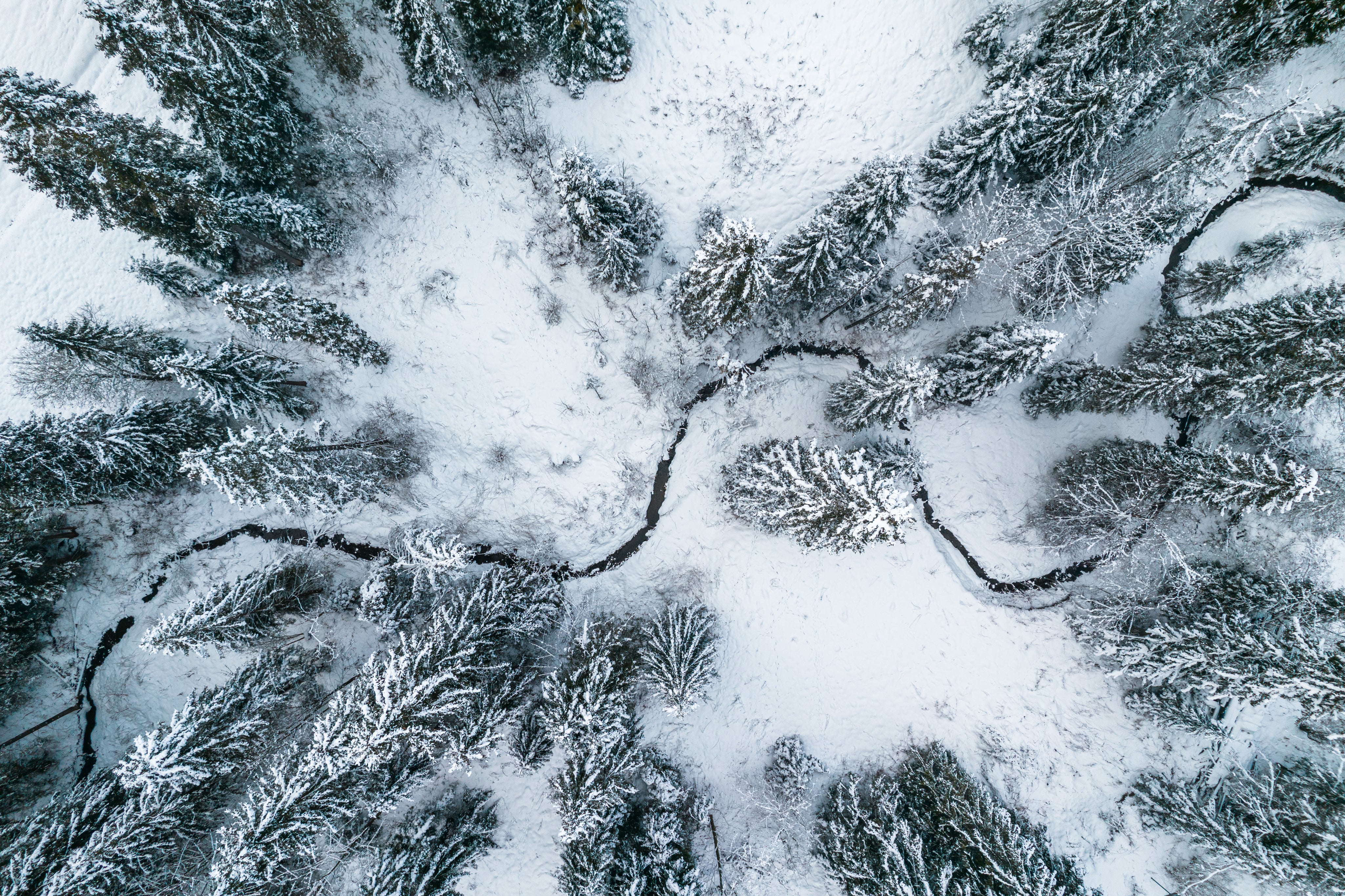 winter-landscape-with-frozen-river-top-down-drone-2023-11-27-05-08-11-utc.jpg